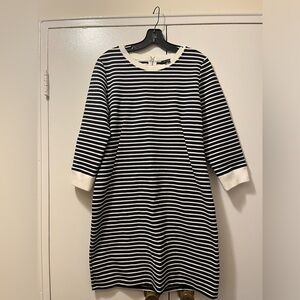 Theory dress size 12 
Stretch material